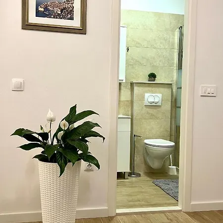 Anna Guest house *